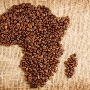 African Espresso Medium Dark